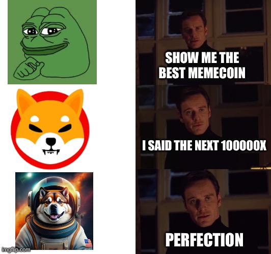 perfection | SHOW ME THE BEST MEMECOIN; I SAID THE NEXT 100000X; PERFECTION | image tagged in perfection,aiakita,crypto,cryptocurrency,shiba inu,memecoin | made w/ Imgflip meme maker