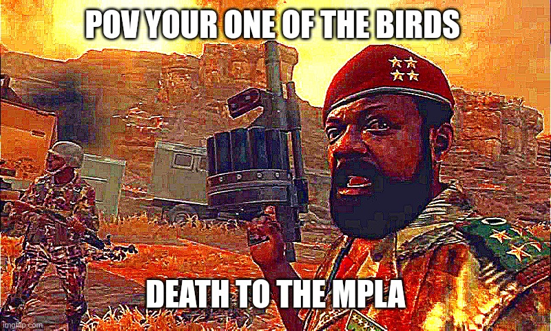 MPLA | POV YOUR ONE OF THE BIRDS DEATH TO THE MPLA | image tagged in mpla | made w/ Imgflip meme maker