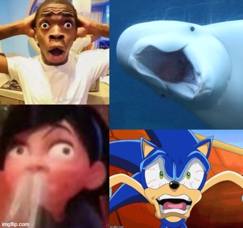 Super surprised Blank Meme Template