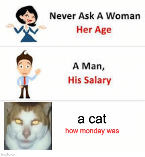 monday | a cat; how monday was | image tagged in never ask a woman her age | made w/ Imgflip meme maker