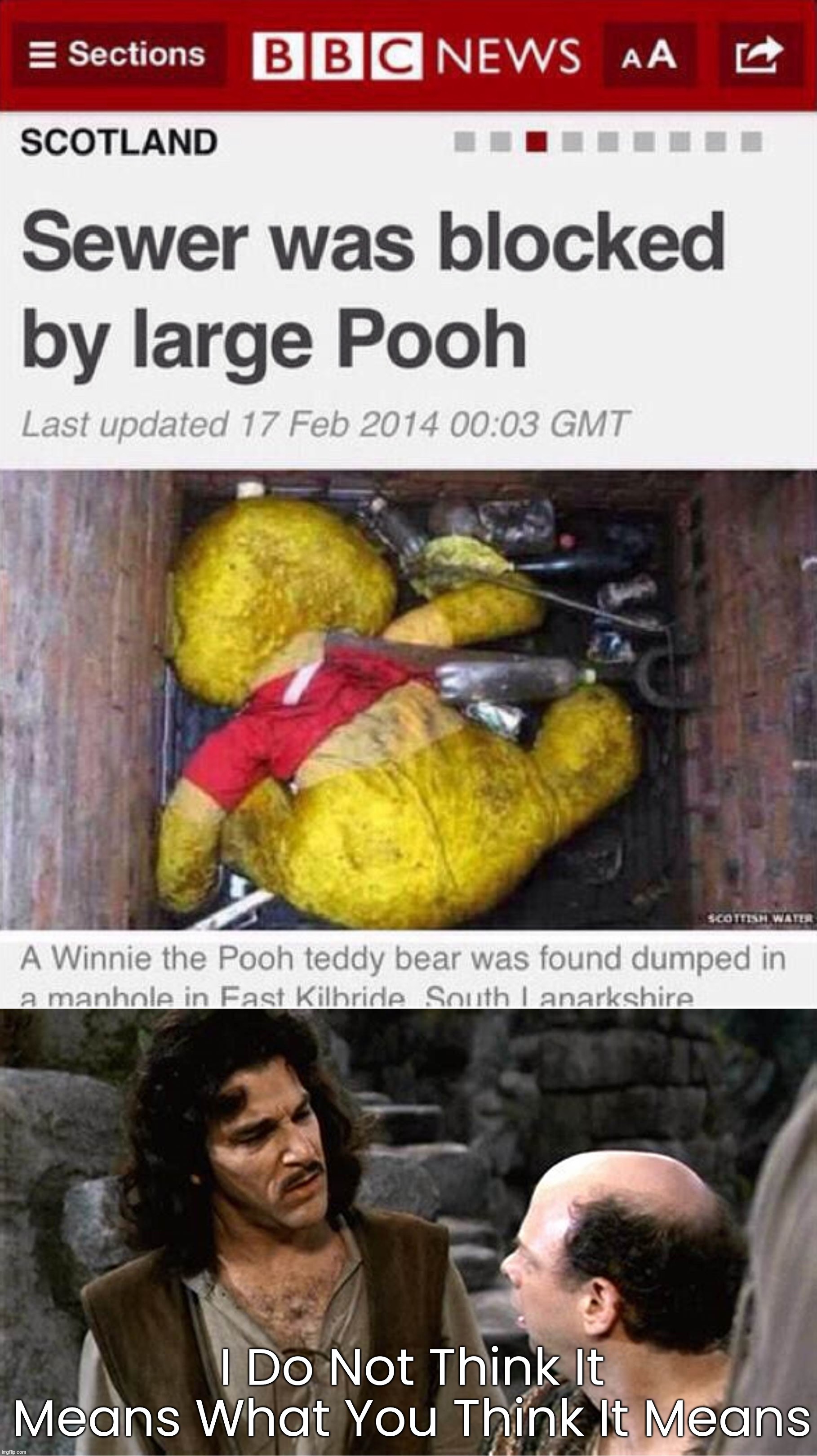 Not that kind of poo | I Do Not Think It Means What You Think It Means | image tagged in i do not think it means what you think it means,winnie the pooh,blocked,overthinking | made w/ Imgflip meme maker