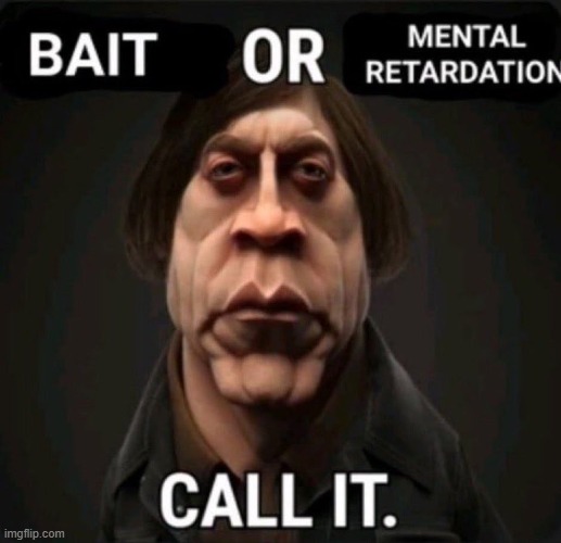 bait or mental retardation call it | image tagged in bait or mental retardation call it | made w/ Imgflip meme maker
