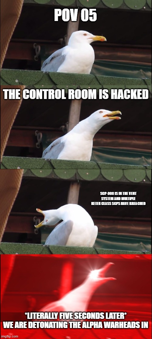 05 | POV 05; THE CONTROL ROOM IS HACKED; SCP-008 IS IN THE VENT SYSTEM AND MULTIPLE KETER CLASS SCPS HAVE BREACHED; *LITERALLY FIVE SECONDS LATER* WE ARE DETONATING THE ALPHA WARHEADS IN | image tagged in memes,inhaling seagull | made w/ Imgflip meme maker