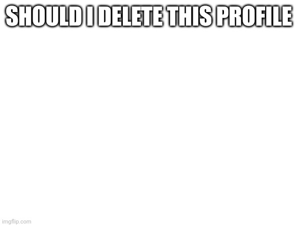 SHOULD I DELETE THIS PROFILE | image tagged in vote | made w/ Imgflip meme maker