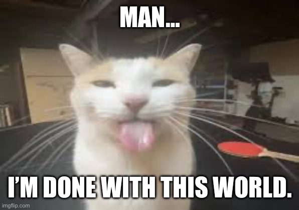 Cat | MAN…; I’M DONE WITH THIS WORLD. | image tagged in cat | made w/ Imgflip meme maker