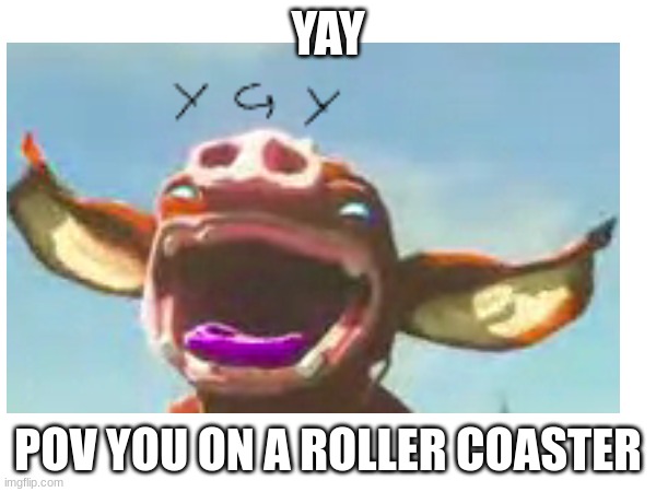 roller coaster | YAY; POV YOU ON A ROLLER COASTER | image tagged in memes | made w/ Imgflip meme maker