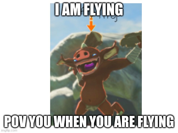 flying | I AM FLYING; POV YOU WHEN YOU ARE FLYING | image tagged in memes | made w/ Imgflip meme maker