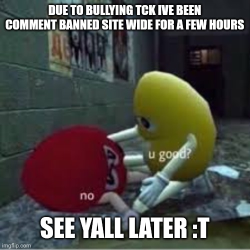M and Ms | DUE TO BULLYING TCK IVE BEEN COMMENT BANNED SITE WIDE FOR A FEW HOURS; SEE YALL LATER :T | image tagged in m and ms | made w/ Imgflip meme maker