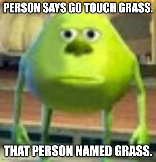 Grass. | PERSON SAYS GO TOUCH GRASS. THAT PERSON NAMED GRASS. | image tagged in sully wazowski | made w/ Imgflip meme maker