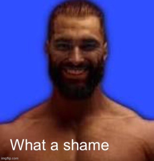 what a shame gigachad | image tagged in what a shame gigachad | made w/ Imgflip meme maker