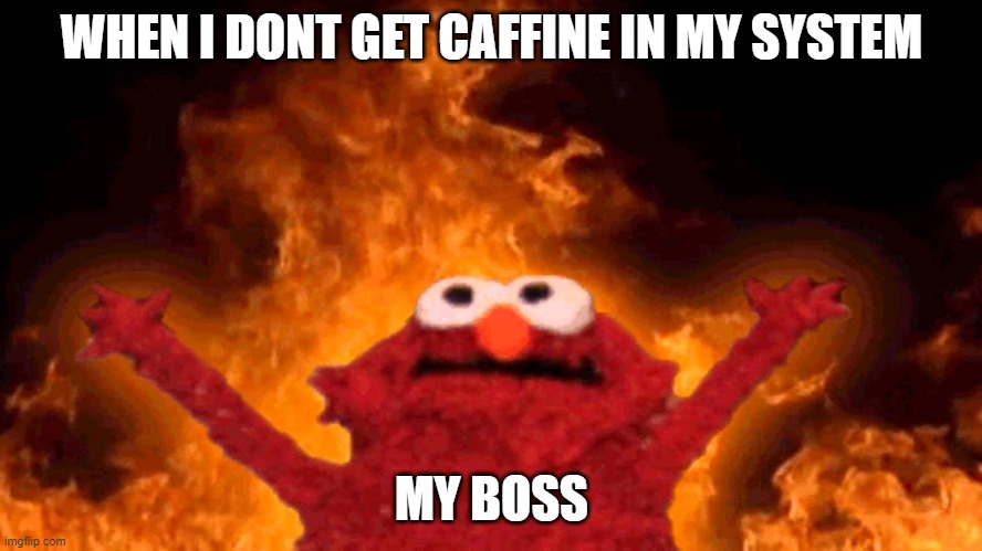 elmo fire | WHEN I DONT GET CAFFINE IN MY SYSTEM; MY BOSS | image tagged in elmo fire | made w/ Imgflip meme maker