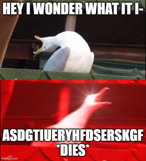 Screaming bird | HEY I WONDER WHAT IT I- ASDGTIUERYHFDSERSKGF *DIES* | image tagged in screaming bird | made w/ Imgflip meme maker