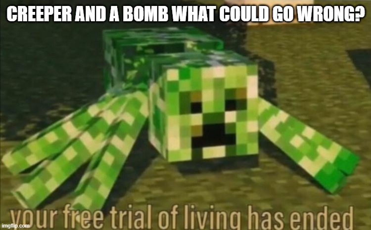 Your Free Trial of Living Has Ended | CREEPER AND A BOMB WHAT COULD GO WRONG? | image tagged in your free trial of living has ended | made w/ Imgflip meme maker