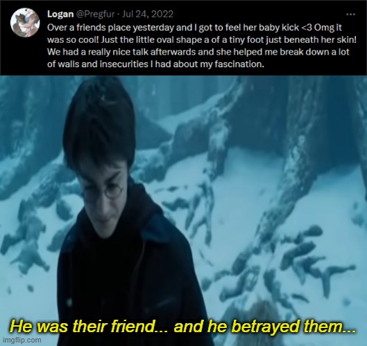 I'm not sure if it's OK for a fetishist to interact with their "Object" of interest in a similar way. But I'm not mad at him. | He was their friend... and he betrayed them... | image tagged in memes,harry potter,twitter | made w/ Imgflip meme maker