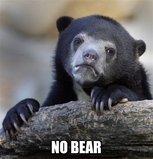 Confession Bear Meme | NO BEAR | image tagged in memes,confession bear | made w/ Imgflip meme maker