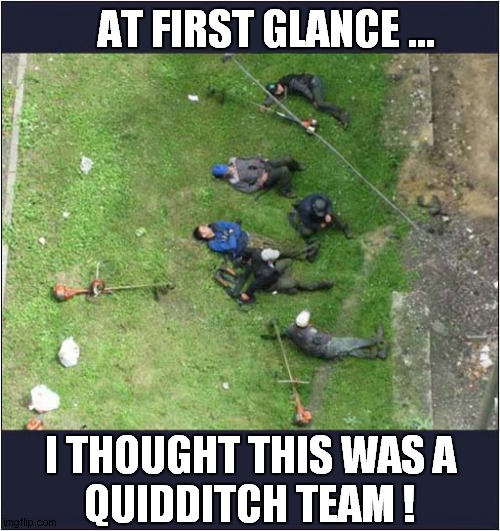 Half-Time At Hogwarts ? | AT FIRST GLANCE ... I THOUGHT THIS WAS A
QUIDDITCH TEAM ! | image tagged in fun,hogwarts,quidditch,strimmers | made w/ Imgflip meme maker