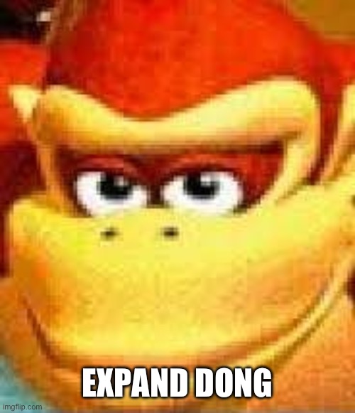 expand dong | EXPAND DONG | image tagged in expand dong | made w/ Imgflip meme maker