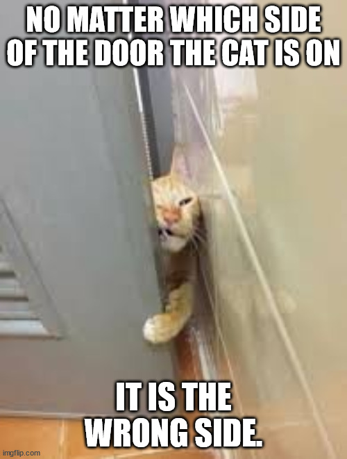 The Pet Principle | NO MATTER WHICH SIDE OF THE DOOR THE CAT IS ON; IT IS THE WRONG SIDE. | image tagged in cat squeezing through the door,pets,door,humor,funny | made w/ Imgflip meme maker
