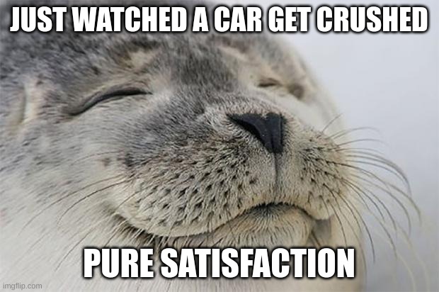 fadhfajdkfhlajdhlfuefhld | JUST WATCHED A CAR GET CRUSHED; PURE SATISFACTION | image tagged in memes,satisfied seal | made w/ Imgflip meme maker