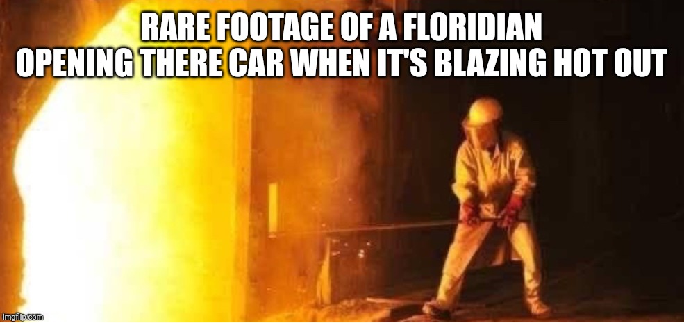 If you live anywhere hot you now what im talking about | RARE FOOTAGE OF A FLORIDIAN OPENING THERE CAR WHEN IT'S BLAZING HOT OUT | image tagged in bruh | made w/ Imgflip meme maker