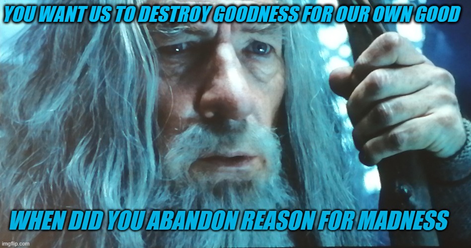 YOU WANT US TO DESTROY GOODNESS FOR OUR OWN GOOD; WHEN DID YOU ABANDON REASON FOR MADNESS | made w/ Imgflip meme maker