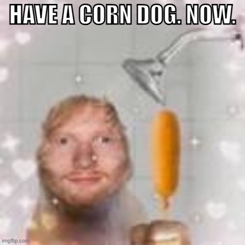 idk im bored | HAVE A CORN DOG. NOW. | image tagged in ed sheeran holding a corn dog in the shower | made w/ Imgflip meme maker