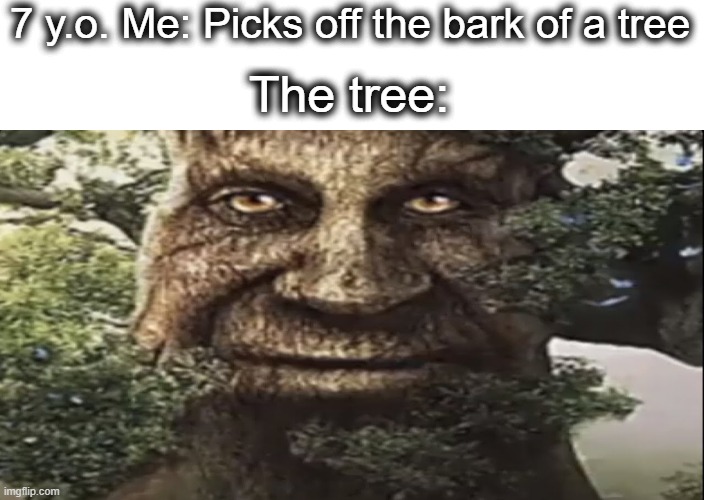 Lets be honest, everyone did this as a kid | 7 y.o. Me: Picks off the bark of a tree; The tree: | image tagged in wise mystical tree,tree,wise,lol,young,children | made w/ Imgflip meme maker