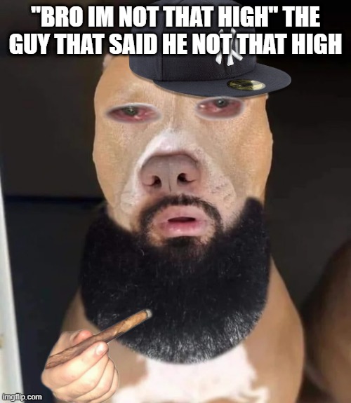 rizz dog | "BRO IM NOT THAT HIGH" THE GUY THAT SAID HE NOT THAT HIGH | image tagged in rizz dog | made w/ Imgflip meme maker