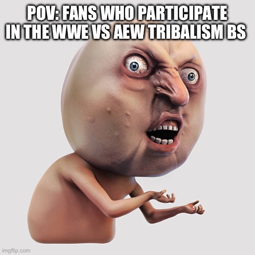 WWE AEW BS | POV: FANS WHO PARTICIPATE IN THE WWE VS AEW TRIBALISM BS | image tagged in wwe,aew | made w/ Imgflip meme maker