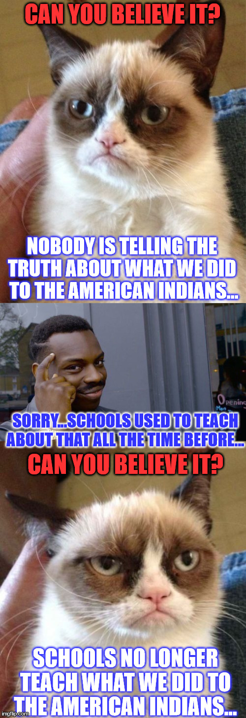 Another clueless lefty rages about something they don't know... LOL | CAN YOU BELIEVE IT? NOBODY IS TELLING THE TRUTH ABOUT WHAT WE DID  TO THE AMERICAN INDIANS... SORRY...SCHOOLS USED TO TEACH ABOUT THAT ALL THE TIME BEFORE... CAN YOU BELIEVE IT? SCHOOLS NO LONGER TEACH WHAT WE DID TO THE AMERICAN INDIANS... | image tagged in memes,grumpy cat,roll safe think about it,clueless,leftists,stupid people | made w/ Imgflip meme maker
