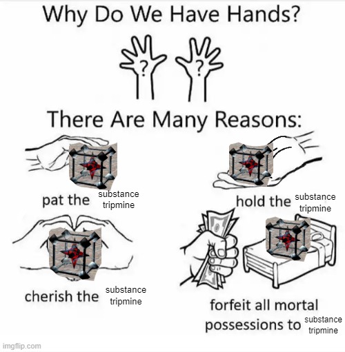 substance tripmine meme | substance
tripmine; substance
tripmine; substance
tripmine; substance
tripmine | image tagged in why do we have hands all blank,substance tripmine memes | made w/ Imgflip meme maker