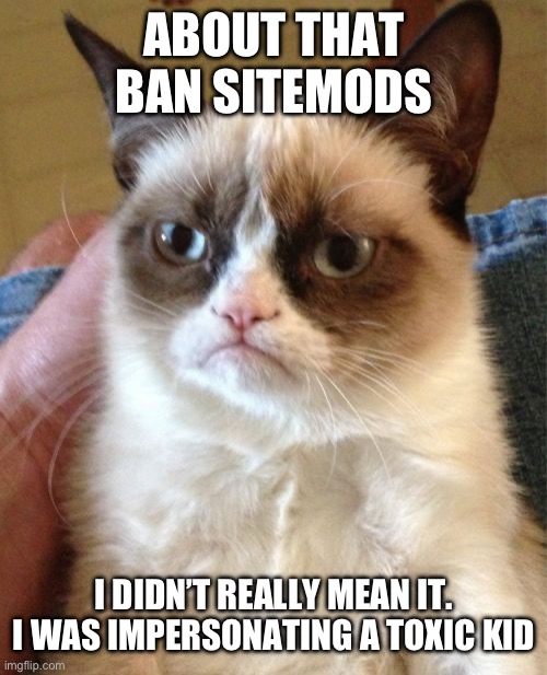 Grumpy Cat | ABOUT THAT BAN SITEMODS; I DIDN’T REALLY MEAN IT. I WAS IMPERSONATING A TOXIC KID | image tagged in memes,grumpy cat | made w/ Imgflip meme maker