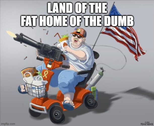 Well, it's true. | LAND OF THE FAT HOME OF THE DUMB | image tagged in murica,fat people,dumb people,united states,america | made w/ Imgflip meme maker