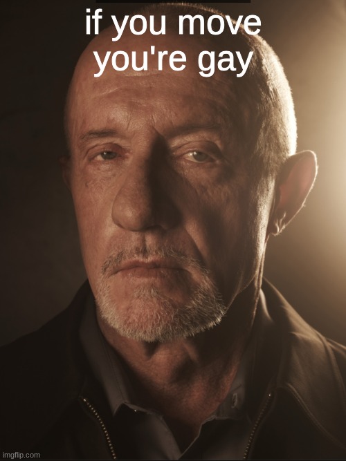 Breaking Bad mike | if you move you're gay | image tagged in breaking bad mike | made w/ Imgflip meme maker