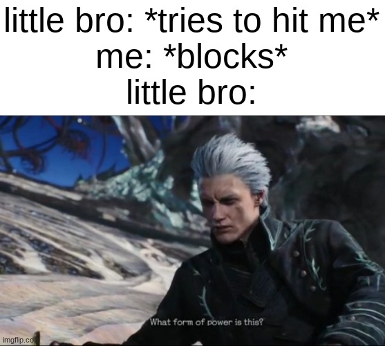 true story of me and my brother | little bro: *tries to hit me*
me: *blocks*
little bro: | image tagged in vergil - what sort of power is this,devil may cry,memes,little brother,brothers,siblings | made w/ Imgflip meme maker