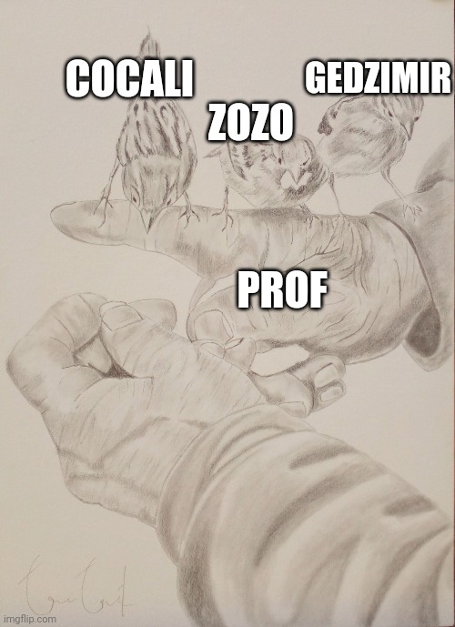 COCALI; GEDZIMIR; ZOZO; PROF | made w/ Imgflip meme maker