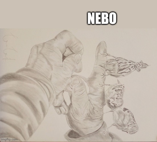 NEBO | made w/ Imgflip meme maker