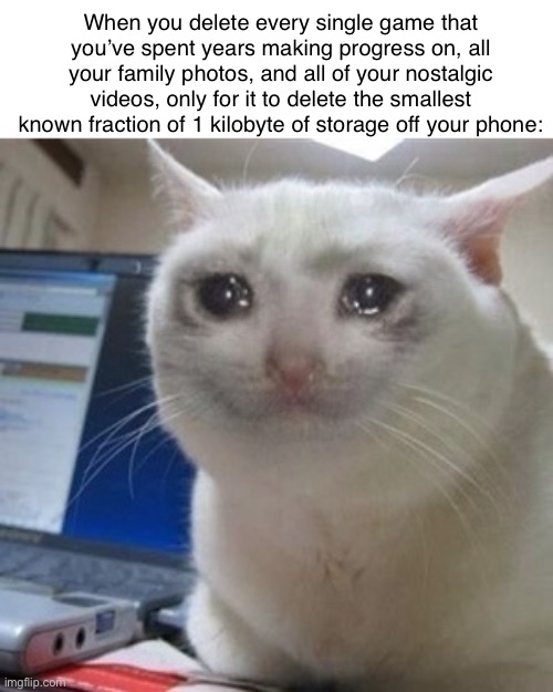 I cri ;-; | When you delete every single game that you’ve spent years making progress on, all your family photos, and all of your nostalgic videos, only for it to delete the smallest known fraction of 1 kilobyte of storage off your phone: | image tagged in crying cat,storage,phone,sad | made w/ Imgflip meme maker