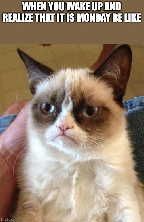 Grumpy Cat | WHEN YOU WAKE UP AND REALIZE THAT IT IS MONDAY BE LIKE | image tagged in memes,grumpy cat | made w/ Imgflip meme maker