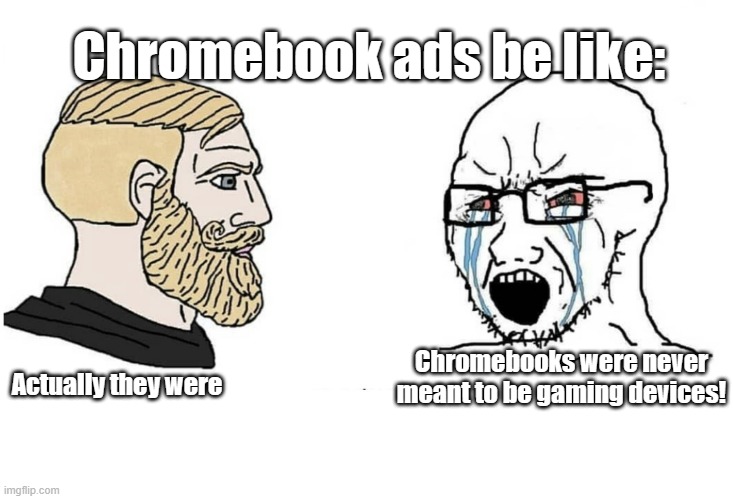 Chromebook | Chromebook ads be like:; Actually they were; Chromebooks were never meant to be gaming devices! | image tagged in trad gamer vs soy boy flipped,chromebook,google,chrome | made w/ Imgflip meme maker