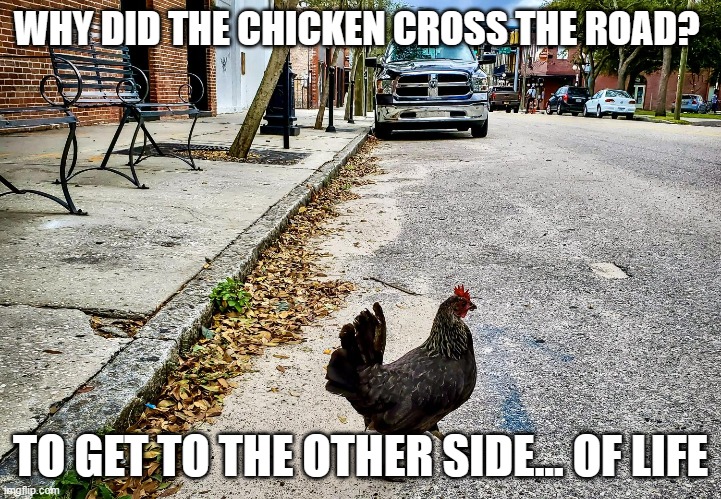 The car hit the chicken. She died, but she made it to the other side... | WHY DID THE CHICKEN CROSS THE ROAD? TO GET TO THE OTHER SIDE... OF LIFE | image tagged in why the chicken cross the road,memes | made w/ Imgflip meme maker