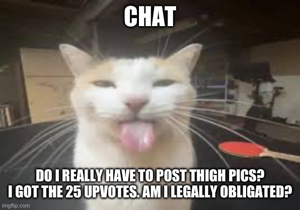 Cat | CHAT; DO I REALLY HAVE TO POST THIGH PICS? I GOT THE 25 UPVOTES. AM I LEGALLY OBLIGATED? | image tagged in cat | made w/ Imgflip meme maker