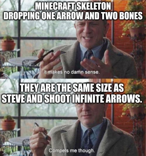 Why is it like this? | MINECRAFT SKELETON DROPPING ONE ARROW AND TWO BONES; THEY ARE THE SAME SIZE AS STEVE AND SHOOT INFINITE ARROWS. | image tagged in it makes no damn sense compels me though | made w/ Imgflip meme maker