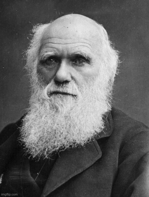 Charles Darwin | image tagged in charles darwin | made w/ Imgflip meme maker