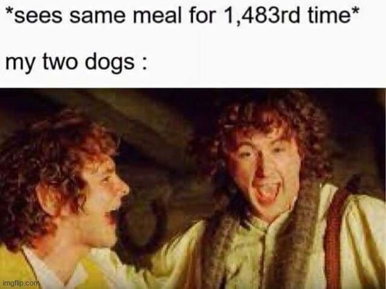 image tagged in memes,funny | made w/ Imgflip meme maker
