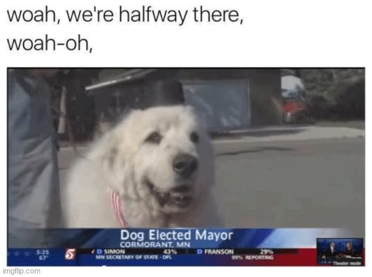 The best mayor ever | image tagged in memes,funny | made w/ Imgflip meme maker