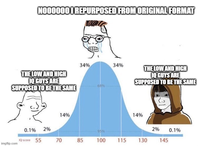 Bell Curve | NOOOOOO I REPURPOSED FROM ORIGINAL FORMAT; THE LOW AND HIGH IQ GUYS ARE SUPPOSED TO BE THE SAME; THE LOW AND HIGH IQ GUYS ARE SUPPOSED TO BE THE SAME | image tagged in bell curve | made w/ Imgflip meme maker