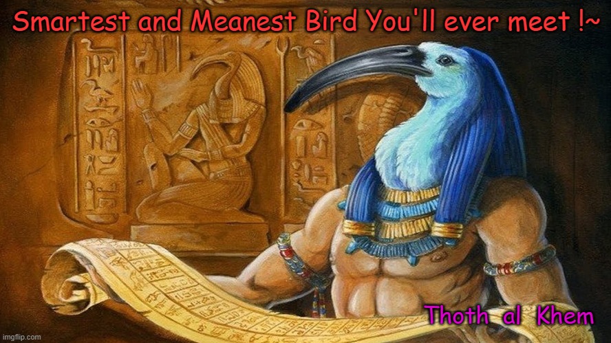 Thoth, Djehuti, Ningishzidda, Quetzalcoatl, Son of Enki. | Smartest and Meanest Bird You'll ever meet !~; Thoth  al  Khem | image tagged in thoth al khem,son of enki,god of wisdom,writing,36000yearsago,enki | made w/ Imgflip meme maker