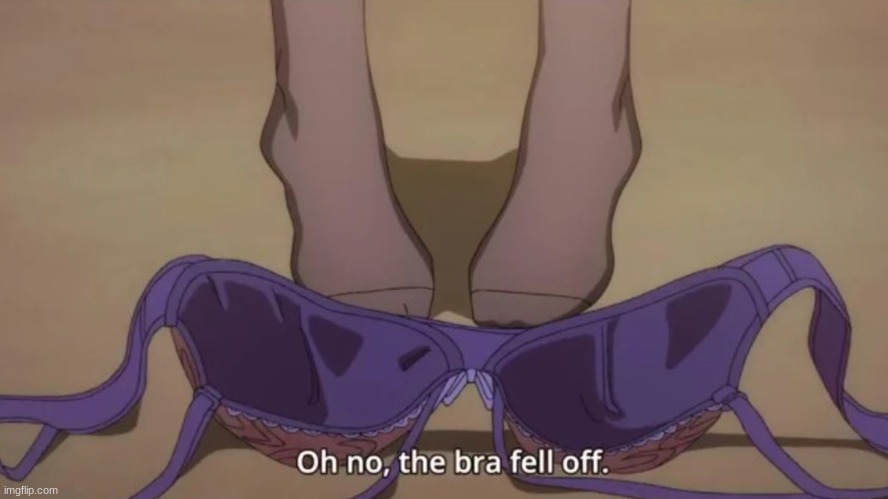 oh no my bra fell off | image tagged in oh no my bra fell off | made w/ Imgflip meme maker