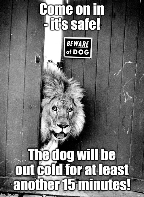 Friendly lion | Come on in - it's safe! The dog will be out cold for at least another 15 minutes! | image tagged in lion - beware of dog sign | made w/ Imgflip meme maker